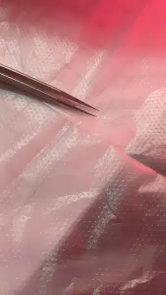 WhatsApp Image 2025-05-20 at 9.27.01 PM